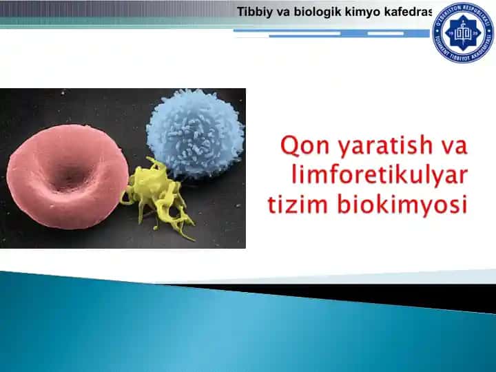 Qon yaratish va limforetikulyar tizim biokimyosi