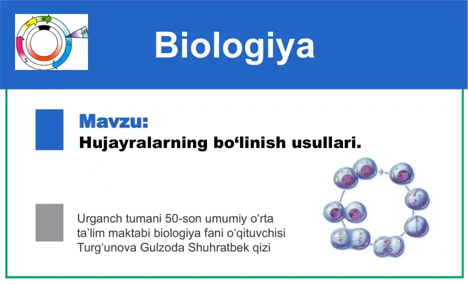 Hujayralarning bo‘linish usullari