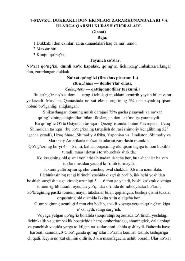 No‘xat qo‘ng‘izi (Bruchus pisorum L.)