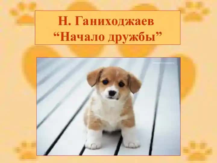 Начало дружбы