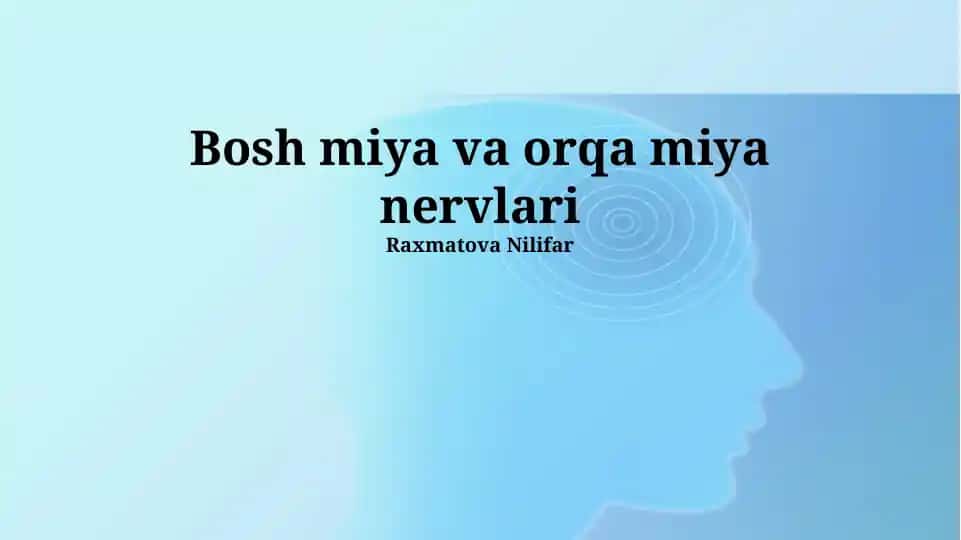 Bosh miya va orqa miya nervlari