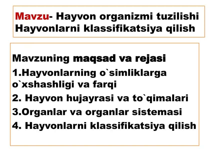 Hayvon organizmi tuzilishi