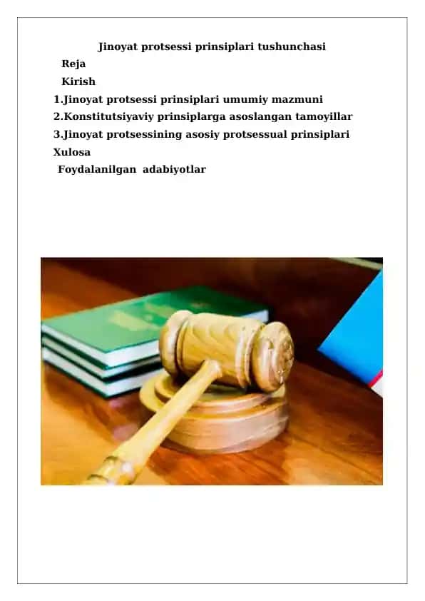 Jinoyat protsessi prinsiplari tushunchasi