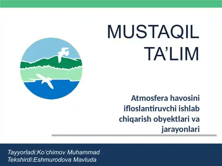 Atmosfera havosini ifloslantiruvchi ishlab chiqarish obyektlari va jarayonlari