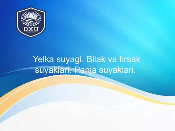 Yelka suyagi