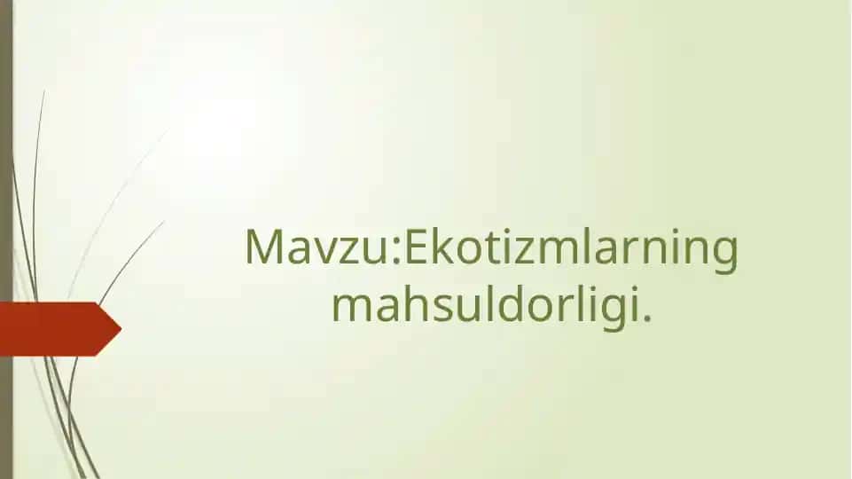 Ekotizmlarning mahsuldorligi