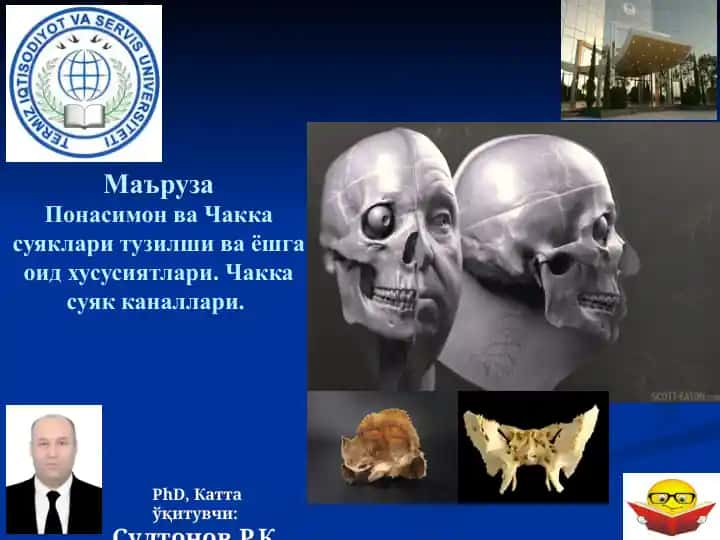 Kalla suyaklarining taraqqiyoti