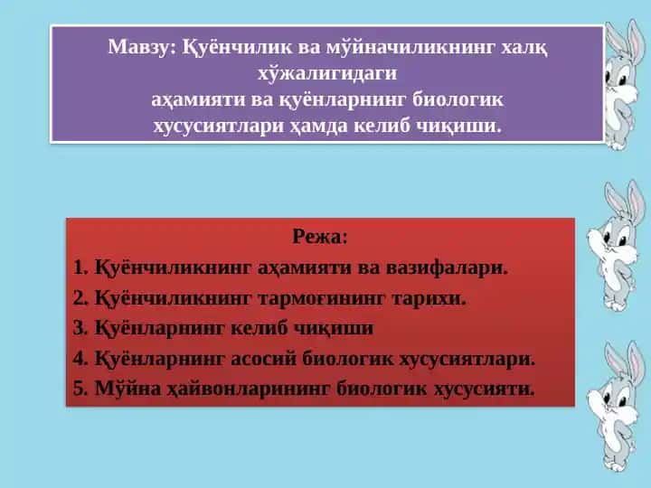 Қуёнчилик ва мўйначиликнинг халқ хўжалигидаги аҳамияти ва қуёнларнинг биологик хусусиятлари ҳамда келиб чиқиши