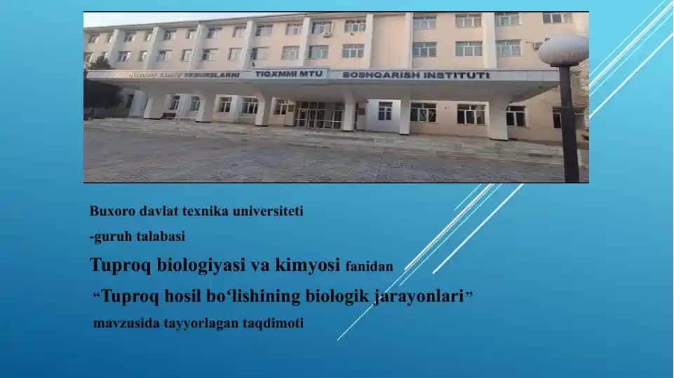 Tuproq hosil boʻlishining biologik jarayonlari