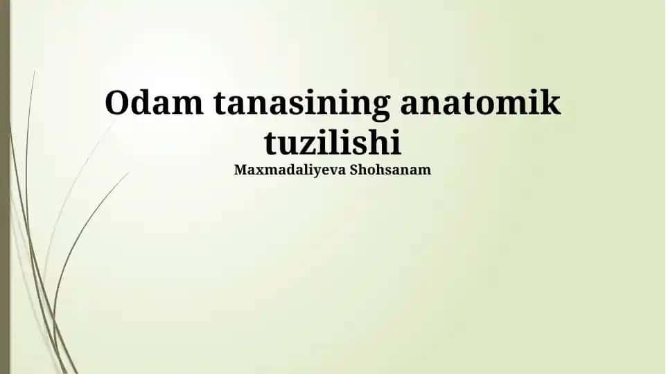 Odam tanasining anatomik tuzilishi