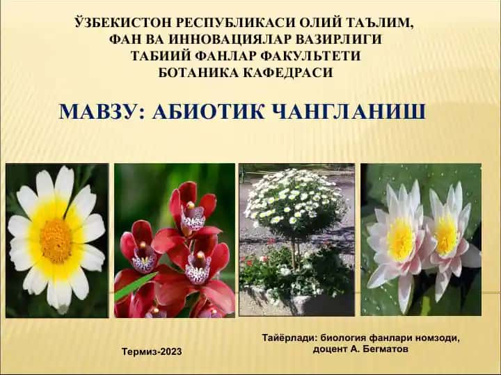 Абиотик чангланиш