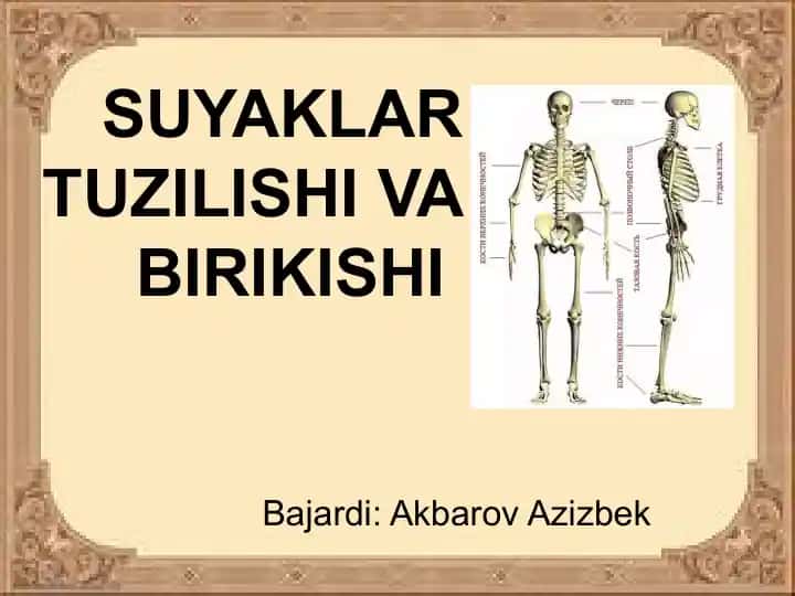 Suyaklar Tuzilishi va Birikishi