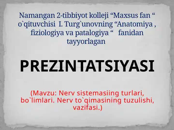 Markaziy nerv tizimining umumiy fiziologiyasi prezintatsiyasi