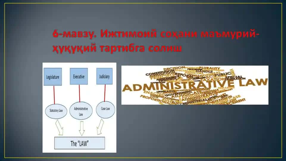 Ижтимоий соҳани маъмурий-ҳуқуқий тартибга солиш тушунчаси ва турлари