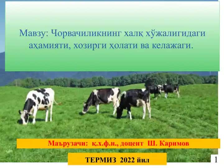 Чорвачиликнинг халқ хўжалигидаги аҳамияти, хозирги ҳолати ва келажаги