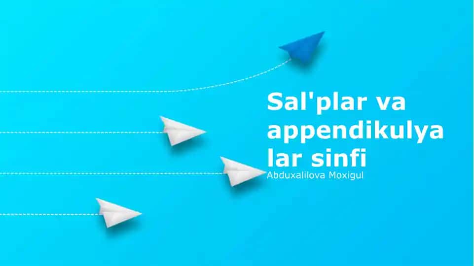 Sal'plar va appendikulyalar sinfi