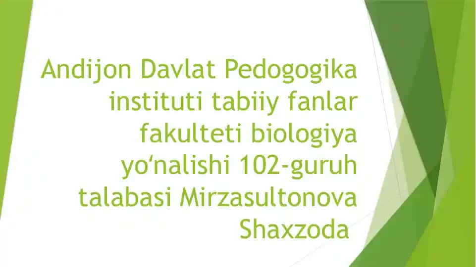 O'smirlik Davrida Psixik Rivojlanish Xususiyatlari