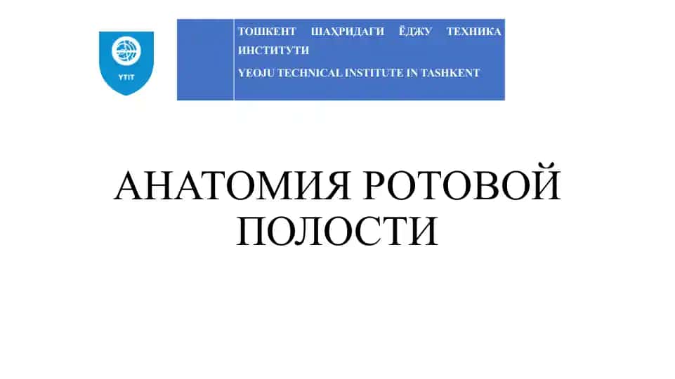АНАТОМИЯ РОТОВОЙ ПОЛОСТИ