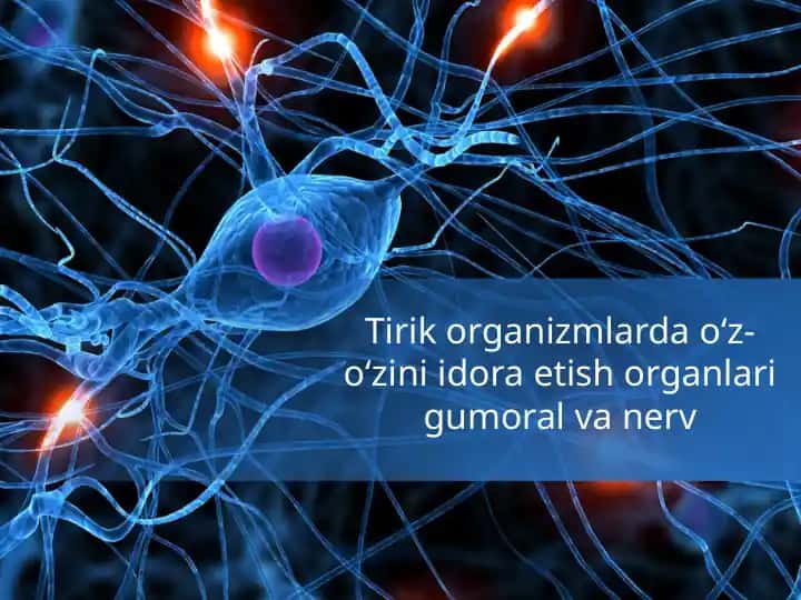 O'z-o'zini boshqarishning fiziologik va biologik asoslari