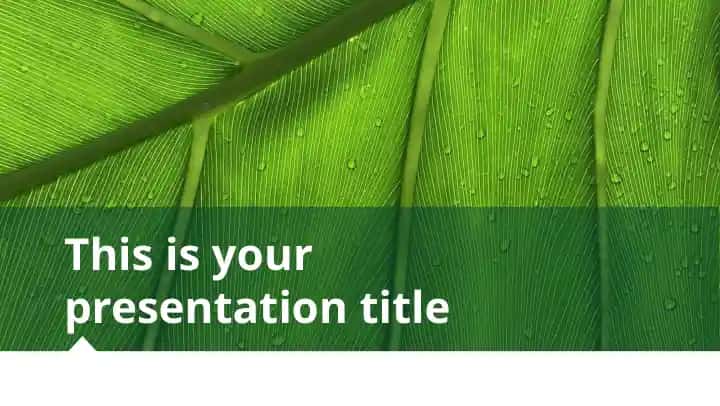 Presentation Design Template