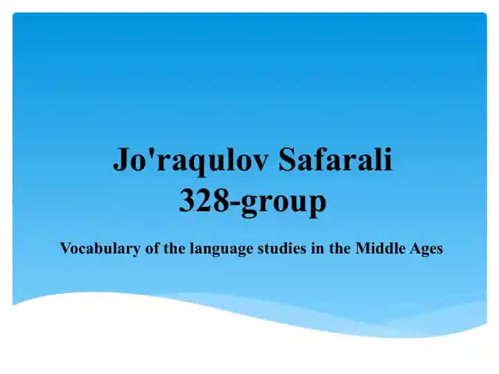 Vocabulary of the language studies in the Middle Ages