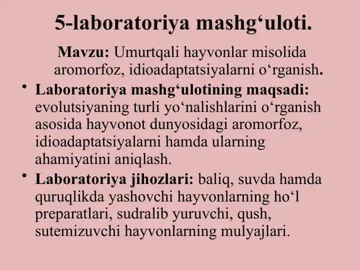 5-laboratoriyamashg‘uloti