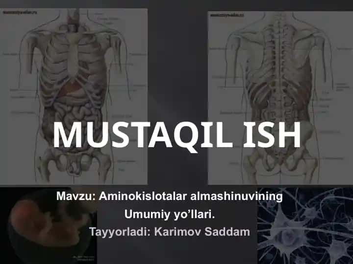 Aminokislotalar almashinuvi