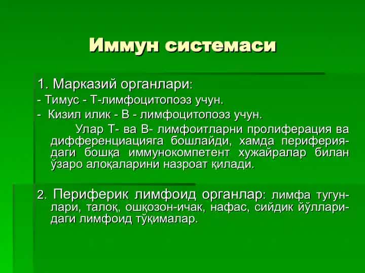 Тимус