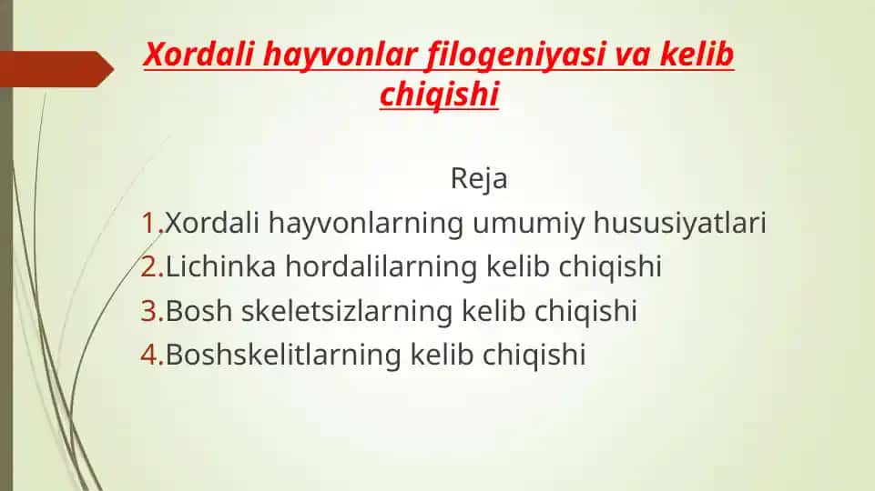 Xordali hayvonlar filogeniyasi va kelib chiqishi