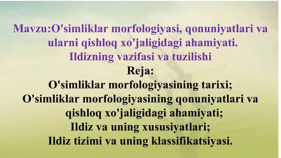 O'simliklar morfologiyasi