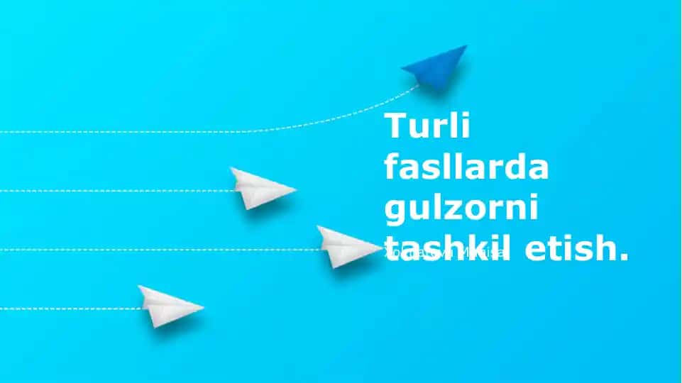 Turli fasllarda gulzorni tashkil etish