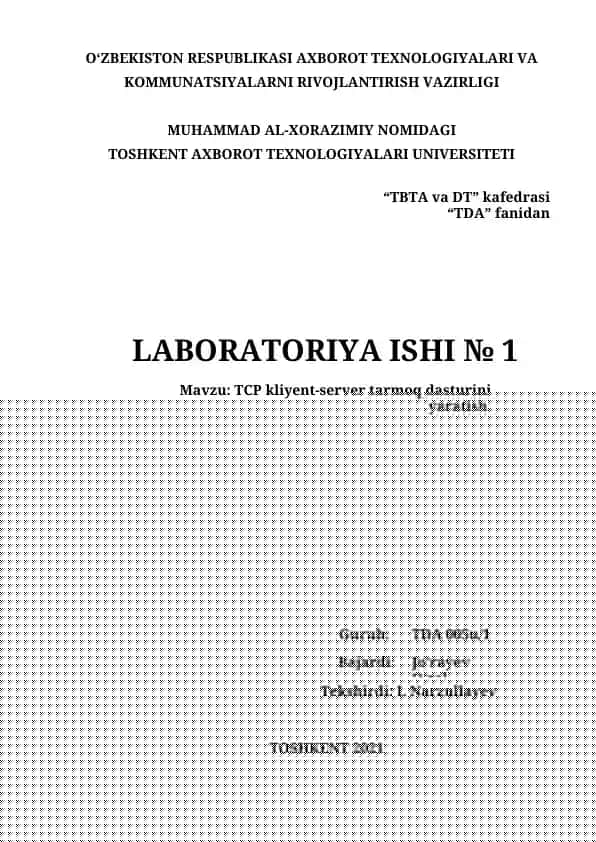 TCP klient-server tarmoq dasturi