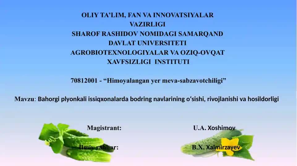 Bahorgi plyonkali issiqxonalarda bodring navlarining o‘sishi, rivojlanishi va hosildorligi