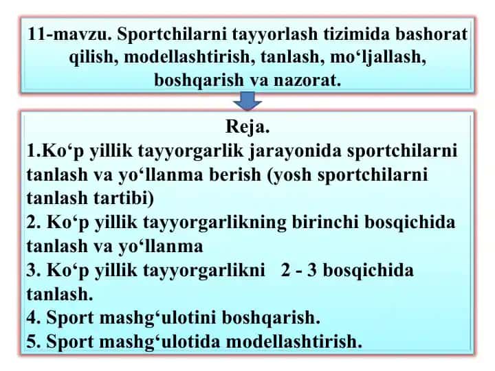 Sportchilarni tayyorlash rejasini tuzish jarayoni