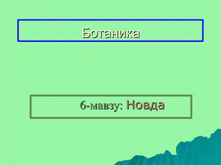 Ботаника