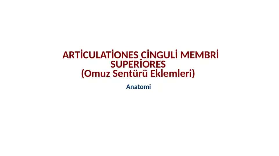 ARTİCULATİONES CİNGULİ MEMBRİ SUPERİORES(OmuzSentürüEklemleri)