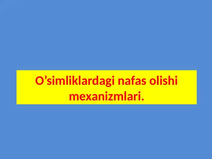 O'simliklarda Nafas Olish Imexanizmlari