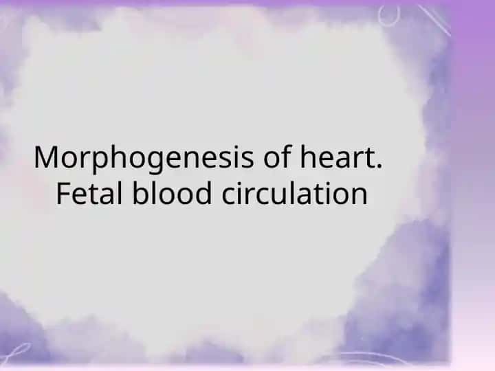 Morphogenesis of heart.