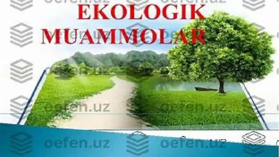 Ekologik muammolar