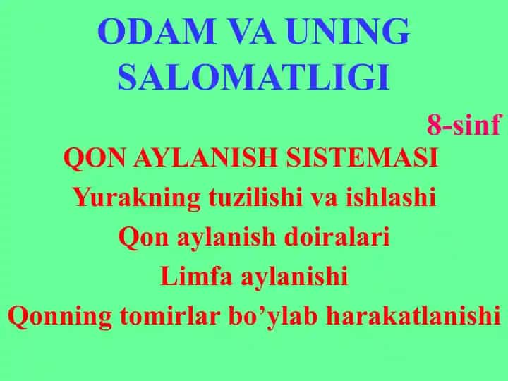 Qon aylanish sistemi