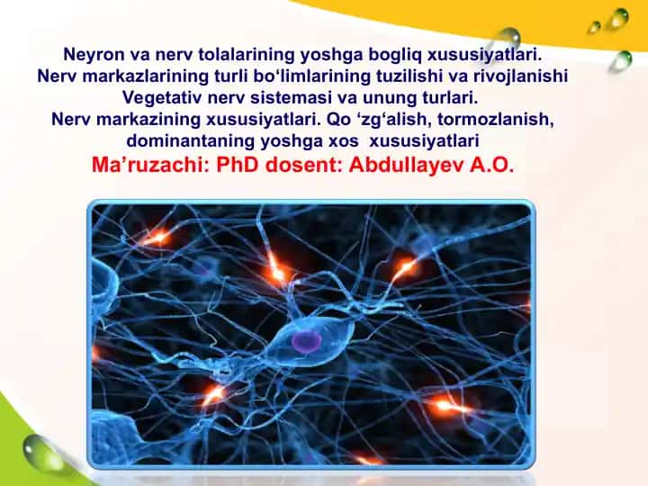 Neyron va nerv to'qmasining yoshga bog'liq xususiyatlari