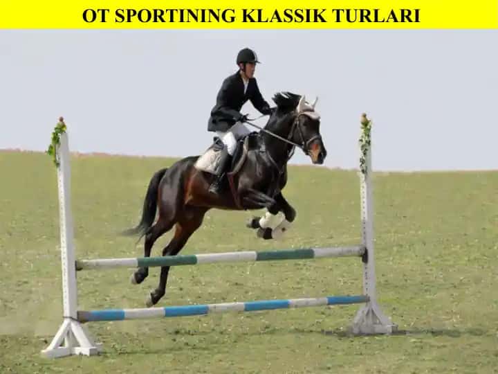 OT SPORTINING KLASSIK TURLARI