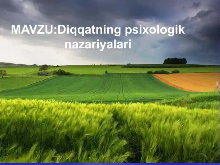 Diqqatning psixologik nazariyasi