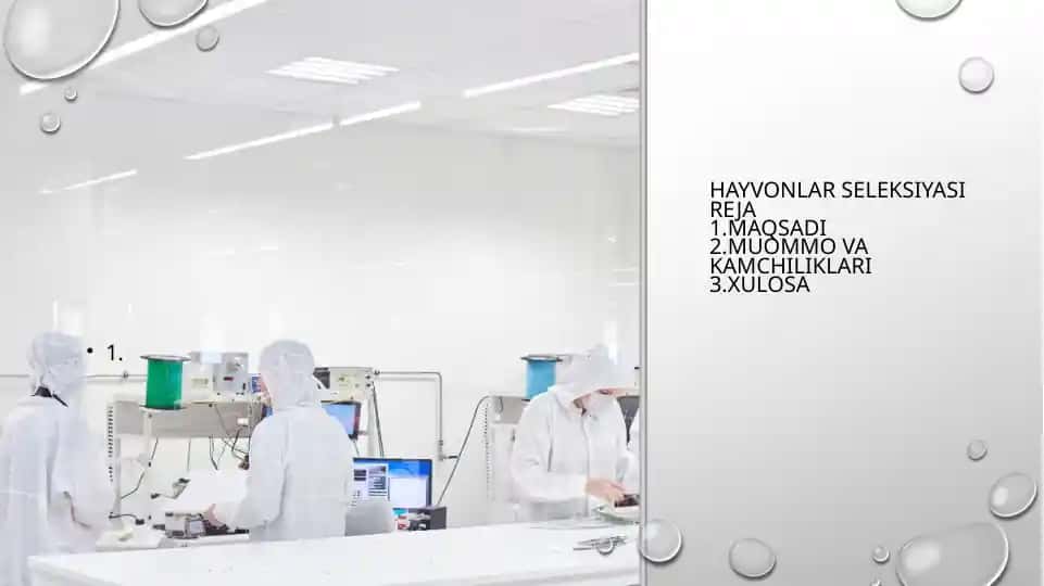 Hayvonlar seleksiyasi