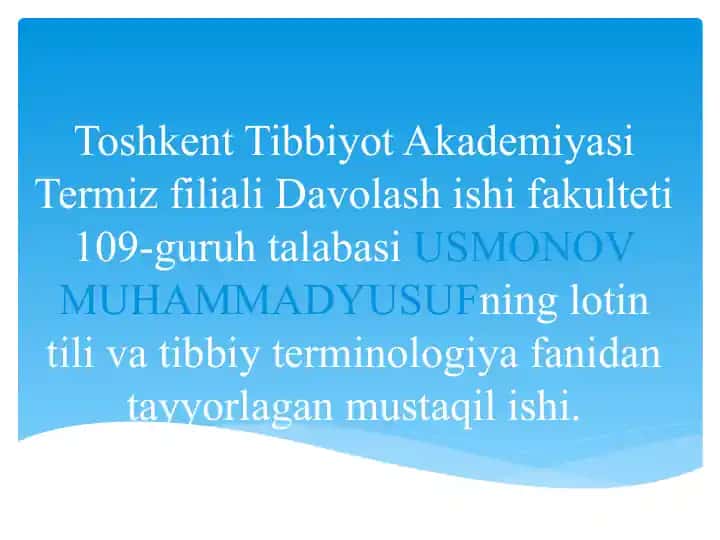 Anatomik Ibora tarjimasi