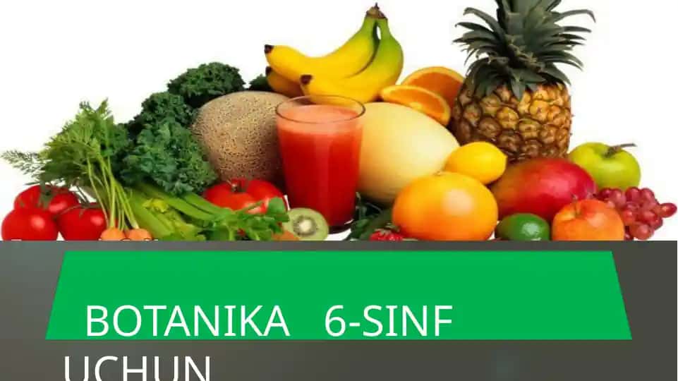 Botanika 6-sinf uchun