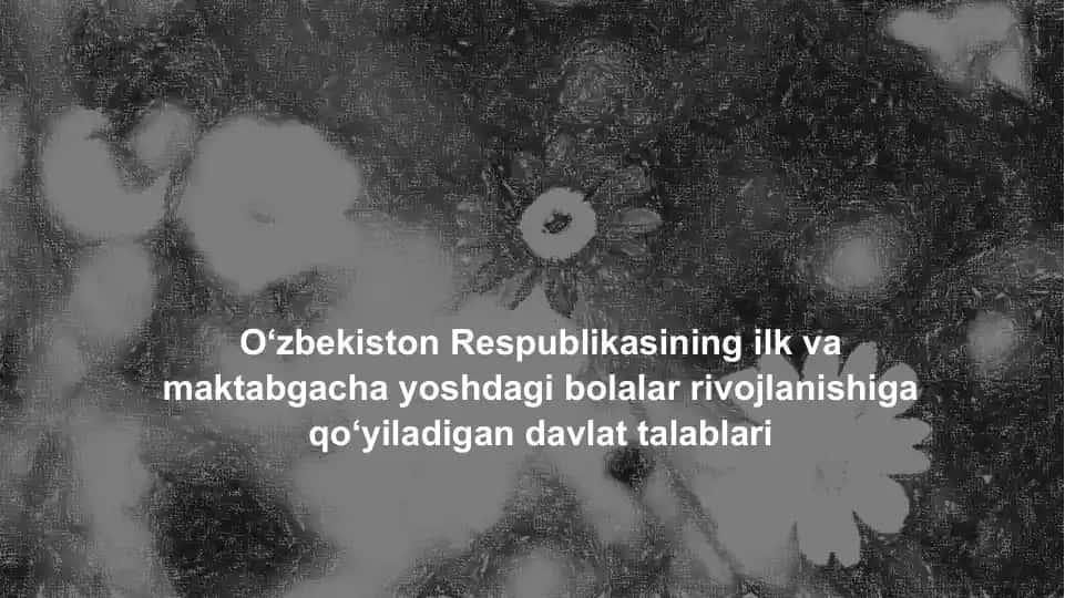 O‘zbekiston Respublikasining ilk va maktabgacha yoshdagi bolalar rivojlanishiga qo‘yiladigan davlat talablari