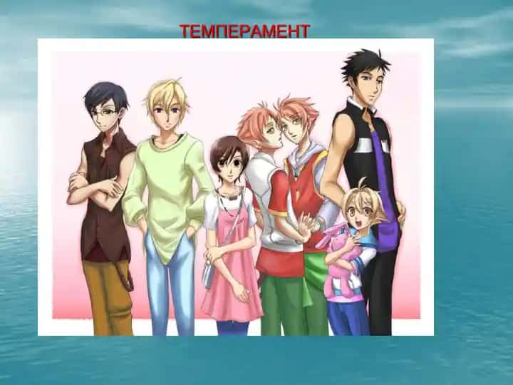 Temperament