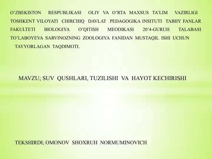 Suv qushlari