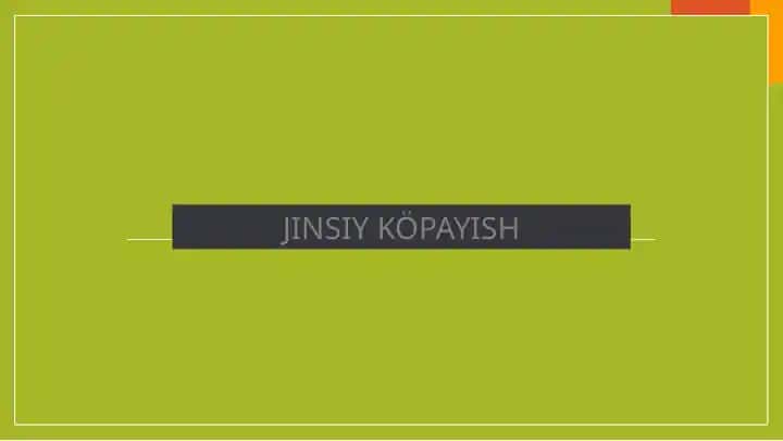 JINSIY KÖPAYISH